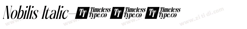 Nobilis Italic字体转换
